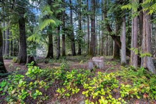 Photo 60: 3827 Riverside Rd in Cobble Hill: ML Cobble Hill House for sale (Malahat & Area)  : MLS®# 926680