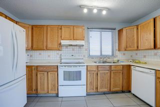 Photo 34: 59 whitehaven Road NE in Calgary: Whitehorn Detached for sale : MLS®# A2010475