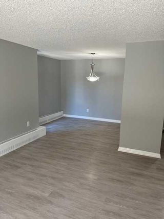 Photo 4: 107 511 56 Avenue SW in Calgary: Windsor Park Apartment for sale : MLS®# A2143222