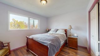 Photo 14: 4612 117A Street in Edmonton: Zone 15 House for sale : MLS®# E4330095