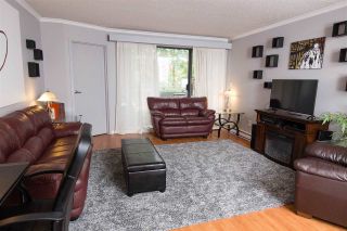 Photo 9: 411 1210 PACIFIC STREET in Coquitlam: North Coquitlam Condo for sale : MLS®# R2116009