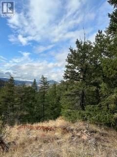 Photo 3: 782 Grand Oro Road in Penticton: Vacant Land for sale : MLS®# 10311621