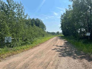 Photo 13: 14081 BUICK CREEK Road in Fort St. John: Buick Creek House for sale : MLS®# R2793998