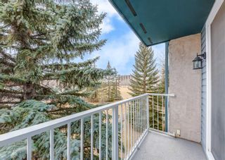 Photo 25: 308B 5601 Dalton Drive NW in Calgary: Dalhousie Apartment for sale : MLS®# A2090814