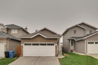 Photo 1: 79 Coral Springs Circle NE in Calgary: Coral Springs Detached for sale : MLS®# A2061481