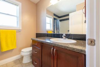 Photo 33: 140 Royal Birch Crescent NW in Calgary: Royal Oak Detached for sale : MLS®# A2143263