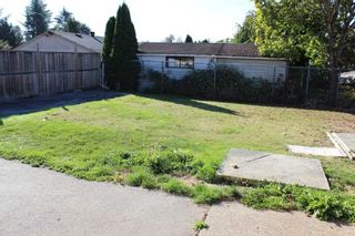 Photo 7: 19974 53 Avenue in Langley: Langley City House for sale : MLS®# R2136821