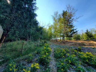 Photo 7: 3080 Michelson Rd in Sooke: Sk Otter Point House for sale : MLS®# 919092