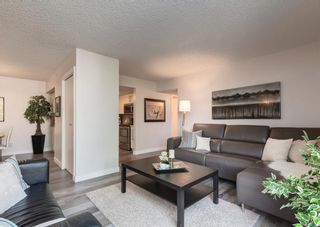 Photo 6: 402 1540 29 Street NW in Calgary: St Andrews Heights Apartment for sale : MLS®# A1141657