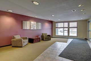 Photo 29: 69 SPRINGBOROUGH Court SW in Calgary: Springbank Hill Apartment for sale : MLS®# A1029583
