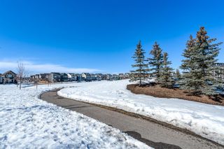 Photo 2: 6414 755 Copperpond Boulevard SE in Calgary: Copperfield Apartment for sale : MLS®# A2034672