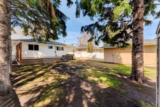 Photo 39: 9748 Elbow Drive SW in Calgary: Haysboro Detached for sale : MLS®# A2130566