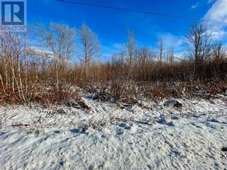 Photo 5: 168 Collins Lake RD in Shemogue: Vacant Land for sale : MLS®# M156264
