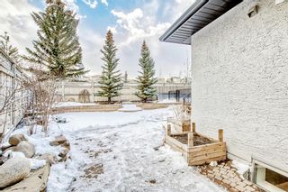 Photo 43: 77 Country Hills Close NW in Calgary: Country Hills Detached for sale : MLS®# A2024041
