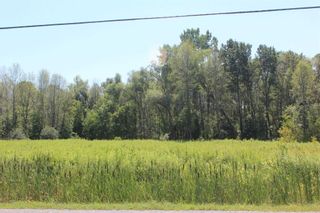 Photo 5: 0 Metro Road in Georgina: Historic Lakeshore Communities Property for sale : MLS®# N5931207