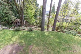 Photo 13: 239 TAMARACK Road in North Vancouver: Upper Lonsdale House for sale : MLS®# R2453859