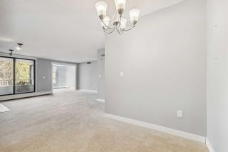 Photo 15: 203 2425 90 Avenue SW in Calgary: Palliser Apartment for sale : MLS®# A2126388