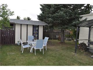 Photo 16: 256 BIG HILL Circle SE: Airdrie Residential Detached Single Family for sale : MLS®# C3535597