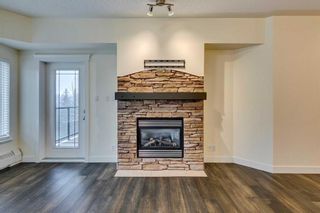 Photo 15: 437 10 Discovery Ridge Close SW in Calgary: Discovery Ridge Apartment for sale : MLS®# A2106589