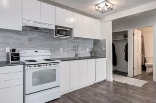 Photo 4: 203 709 3 Avenue NW in Calgary: Sunnyside Apartment for sale : MLS®# A2041549