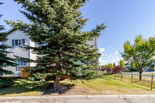 Photo 40: 28 156 Canoe Drive SW: Airdrie Row/Townhouse for sale : MLS®# A2003659