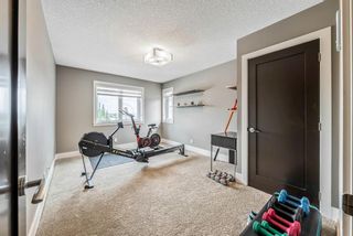 Photo 28: 102 Kincora Park NW in Calgary: Kincora Detached for sale : MLS®# A1228101
