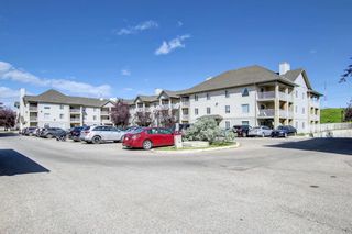 Photo 41: 320 3000 Citadel Meadow Point NW in Calgary: Citadel Apartment for sale : MLS®# A1244571