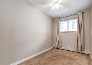 Photo 14: 7 3911 1 Street NE in Calgary: Highland Park Apartment for sale : MLS®# A1219732