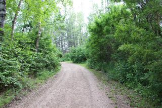 Photo 26: 242 Shady Lane: Rural Athabasca County Detached for sale : MLS®# A2041088