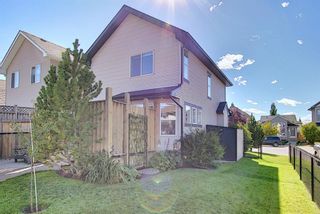 Photo 45: 44 CRANBERRY Way SE in Calgary: Cranston Detached for sale : MLS®# A1029590