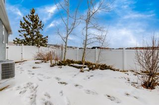 Photo 30: 77 Evanston Way NW in Calgary: Evanston Detached for sale : MLS®# A1171349