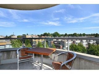 Photo 13: # 613 2655 CRANBERRY DR in Vancouver: Kitsilano Condo for sale (Vancouver West)  : MLS®# V1129601