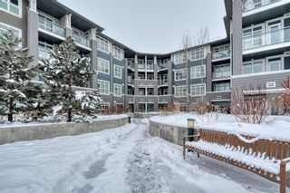 Photo 40: 409 25 Auburn Meadows Avenue SE in Calgary: Auburn Bay Apartment for sale : MLS®# A1067118