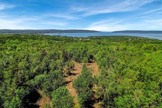 Photo 5: Lot Highway 101 in Smiths Cove: Digby County Vacant Land for sale (Annapolis Valley)  : MLS®# 202216443