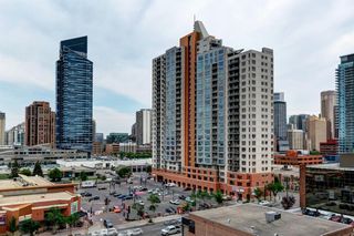 Photo 29: 809 1110 11 Street SW in Calgary: Beltline Apartment for sale : MLS®# A1245926