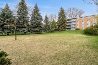 Photo 29: 372 1620 8 Avenue NW in Calgary: Hounsfield Heights/Briar Hill Apartment for sale : MLS®# A2129756