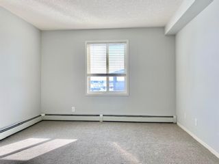 Photo 11: 4415 604 8 Street SW: Airdrie Apartment for sale : MLS®# A1049866