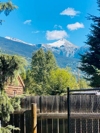 Photo 20: 1431 GRENFELL Place in Valemount: Valemount - Town House for sale (Robson Valley)  : MLS®# R2740773