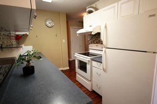 Photo 10: 113 1602 11 Avenue SW in Calgary: Sunalta Apartment for sale : MLS®# A2010122