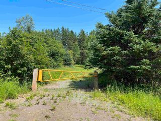 Photo 8: Lot Baxters Harbour Road in Glenmont: Kings County Vacant Land for sale (Annapolis Valley)  : MLS®# 202313835