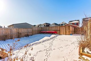 Photo 25: 381 NOLANFIELD Way NW in Calgary: Nolan Hill Detached for sale : MLS®# C4286085