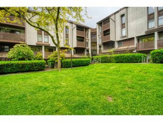 Photo 4: 402 340 GINGER Drive in New Westminster: Fraserview NW Condo for sale in "FRASER MEWS" : MLS®# R2599521