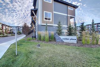 Photo 42: 308 10 WALGROVE Walk SE in Calgary: Walden Apartment for sale : MLS®# A1032904