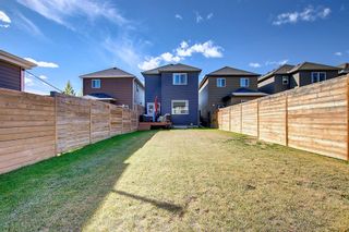 Photo 43: 14 Legacy Close SE in Calgary: Legacy Detached for sale : MLS®# A2003136