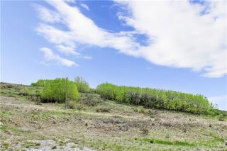 Photo 10: 260100 Glenbow Road in Rural Rocky View County: Rural Rocky View MD Land for sale : MLS®# C4239441