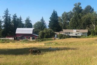 Photo 35: 21068 16 Avenue in Langley: Campbell Valley Agri-Business for sale : MLS®# C8058849