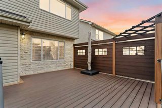 Photo 30: 25 Panamount Rise NW in Calgary: Panorama Hills Detached for sale : MLS®# A2130885