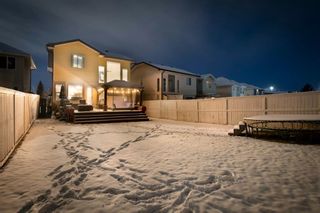 Photo 30: 94 Hidden Hills Terrace NW in Calgary: Hidden Valley Detached for sale : MLS®# A2114049