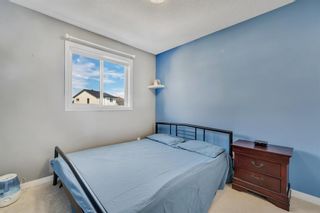 Photo 14: 66 Skyview Springs Rise NE in Calgary: Skyview Ranch Detached for sale : MLS®# A1251481