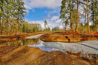 Photo 5: 13158 57 Avenue in Surrey: Panorama Ridge Land for sale : MLS®# R2139437